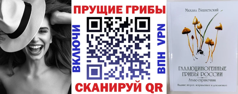 Купить закладки  Слободской  Псилоцибиновые грибы мухоморы 